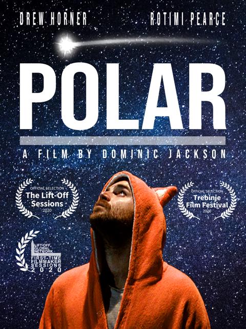 Movie poster for Polar