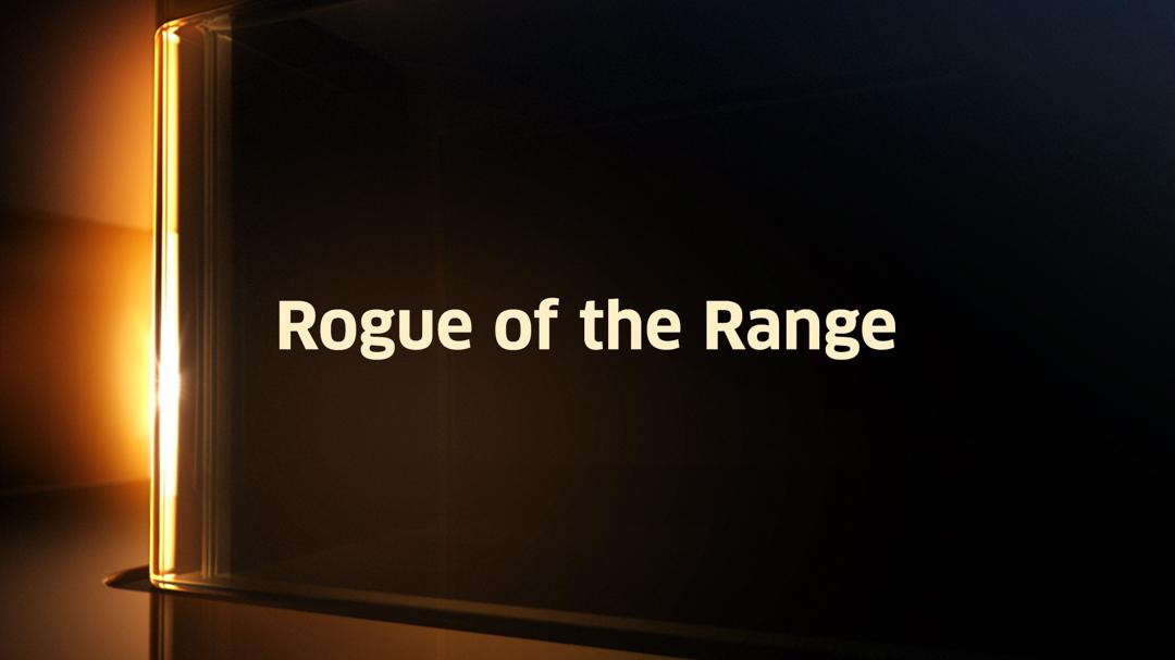 Rogue of the Range