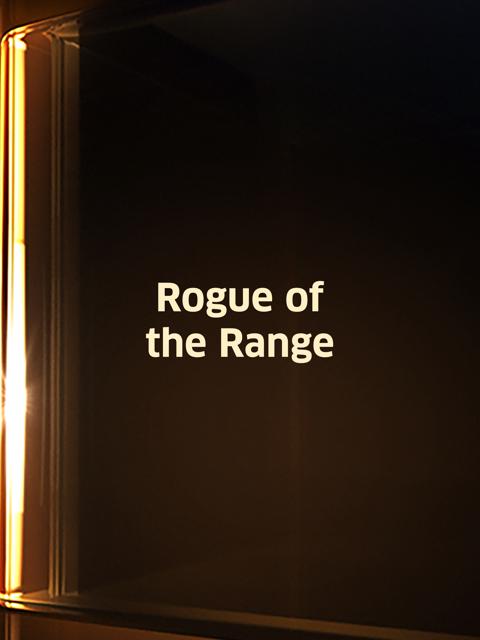 Movie poster for Rogue of the Range
