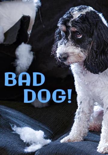 Bad Dog! poszter