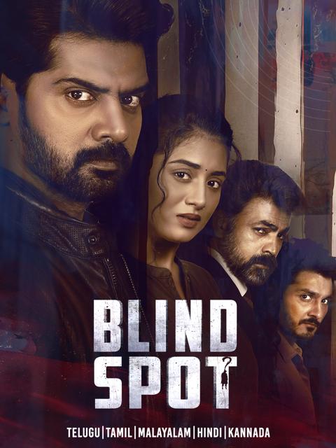 Movie poster for Blind Spot