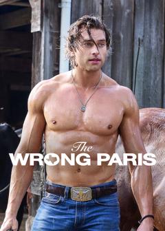 The Wrong Paris