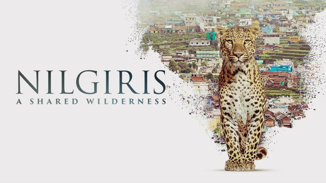 New on Hulu US — Apr 27–May 3, 2026