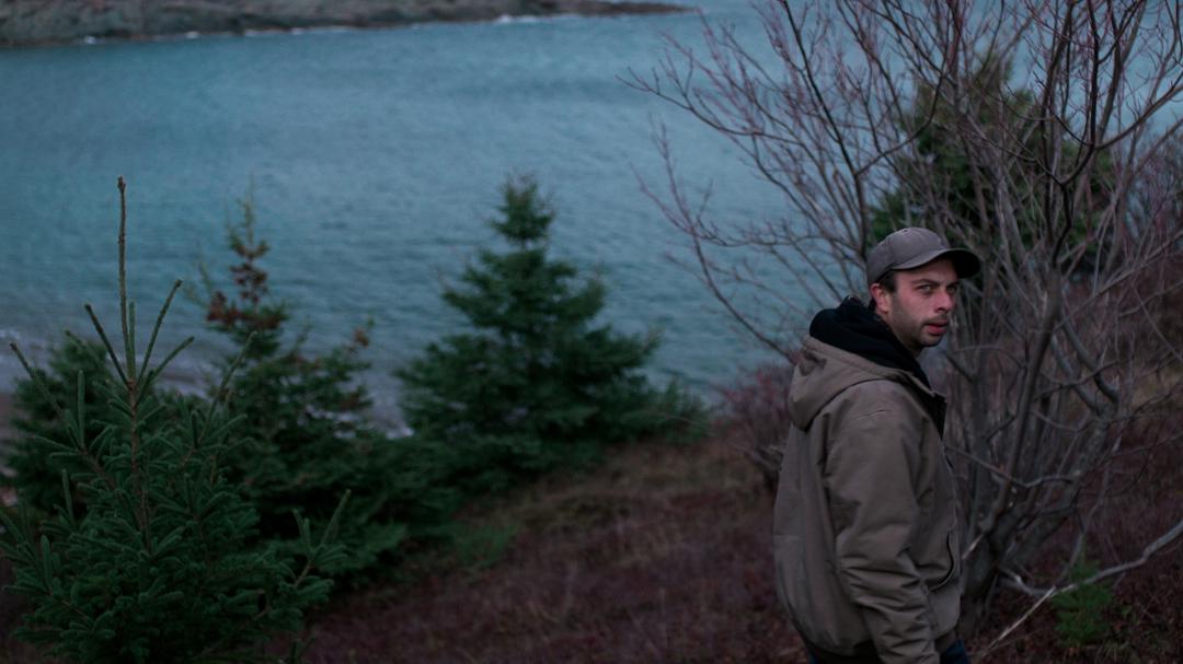 Background image for Murder in the Cove