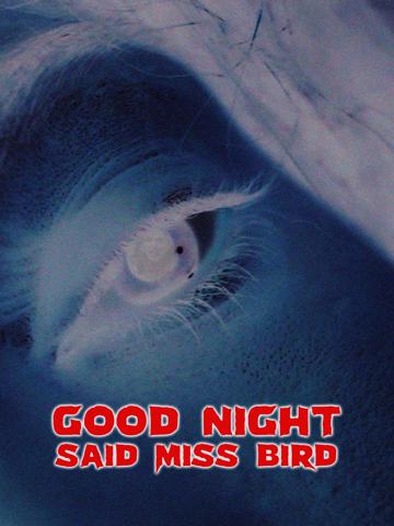 Good Night, Said Miss Bird poszter