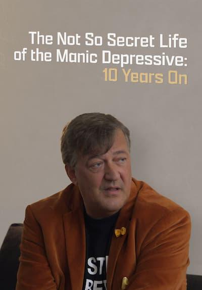 Movie poster for The Not So Secret Life of the Manic Depressive: 10 Years On