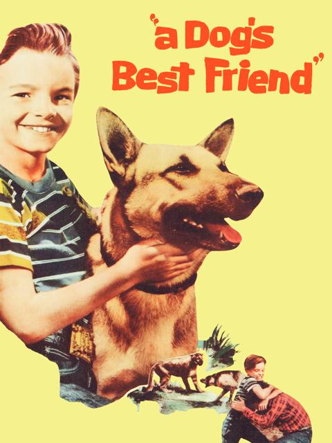 A Dog's Best Friend
