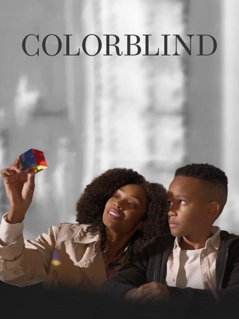 Movie poster for Colorblind