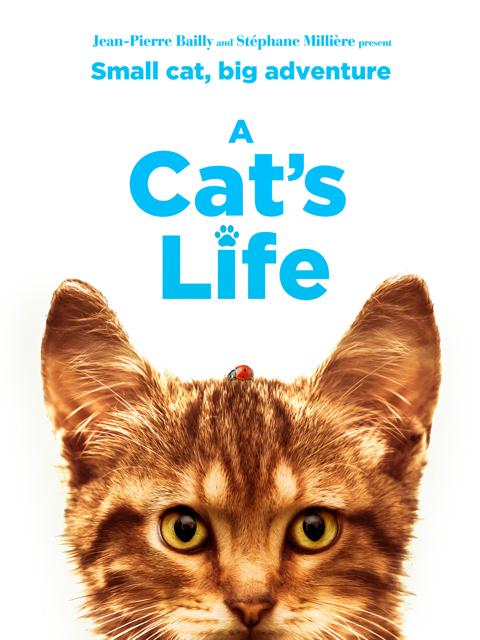 Poster för Min katt & jag