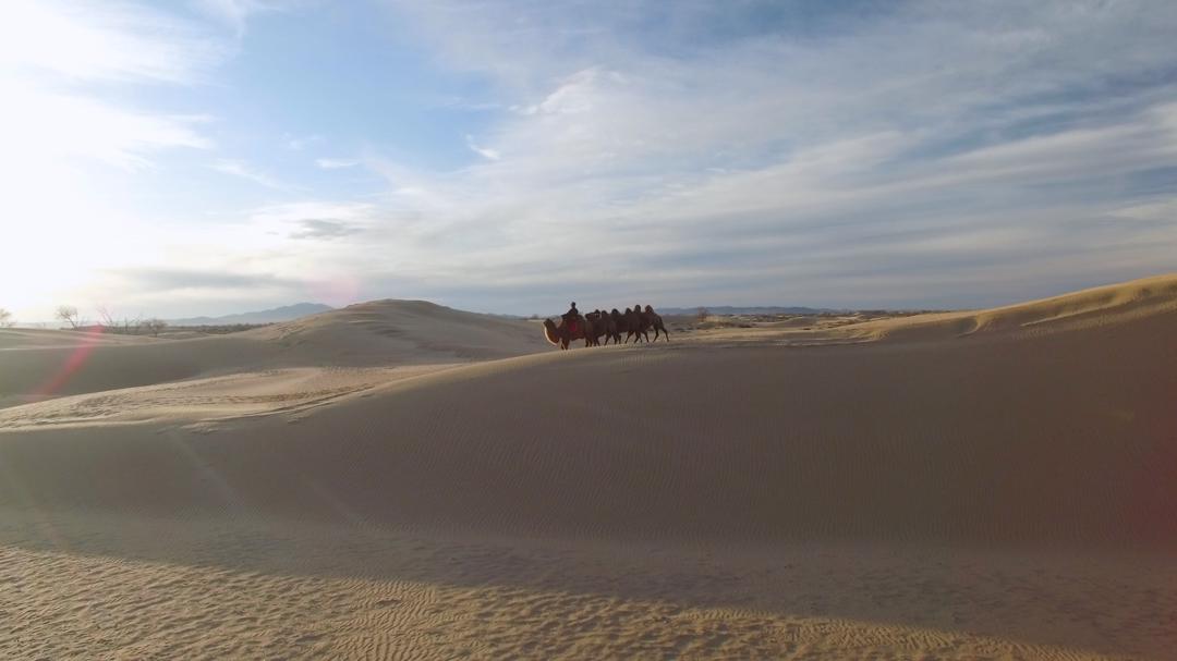 Background image for Echoes of the Empire: Beyond Genghis Khan
