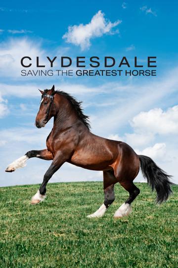 Clydesdale: Saving the Greatest Horse poszter