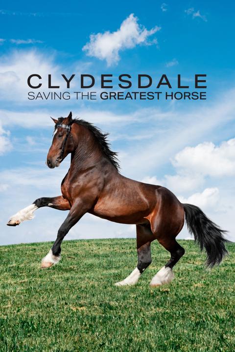 Poster för Clydesdale: Saving the Greatest Horse