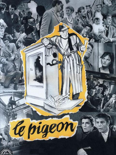 Big Deal on Madonna Street