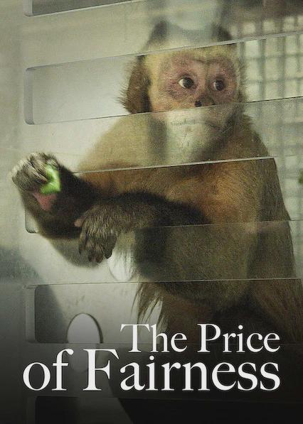 Movie poster for The Price of Fairness