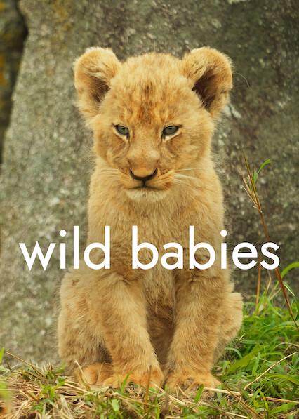 Poster för Wild Babies