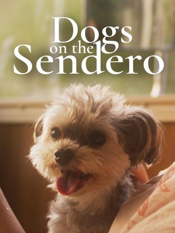 Dogs on the Sendero