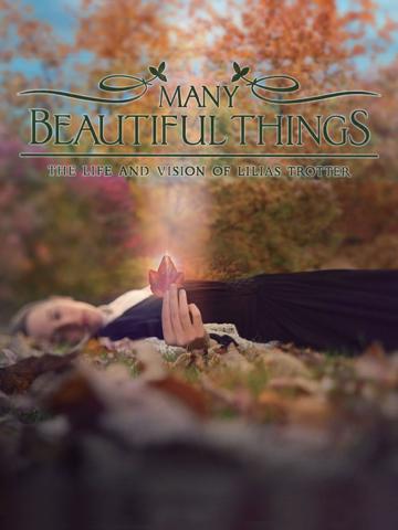 Many Beautiful Things poszter