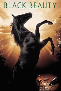 Affiche de Black Beauty