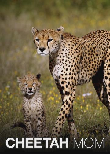 Cheetah Mom poszter