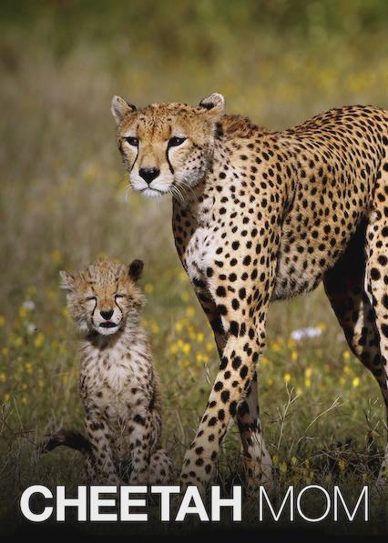 Movie poster for Cheetah Mom