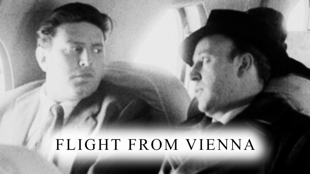 Background image for Flight from Vienna