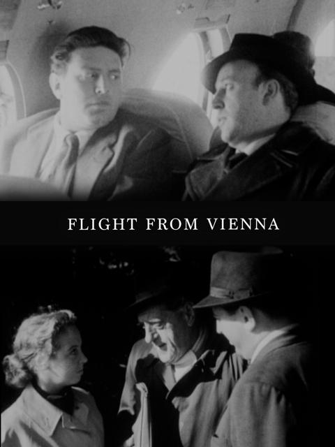 Movie poster for Flight from Vienna