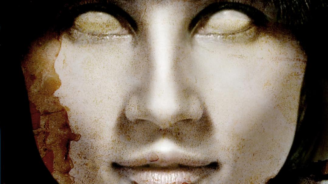 Background image for The Transparent Woman