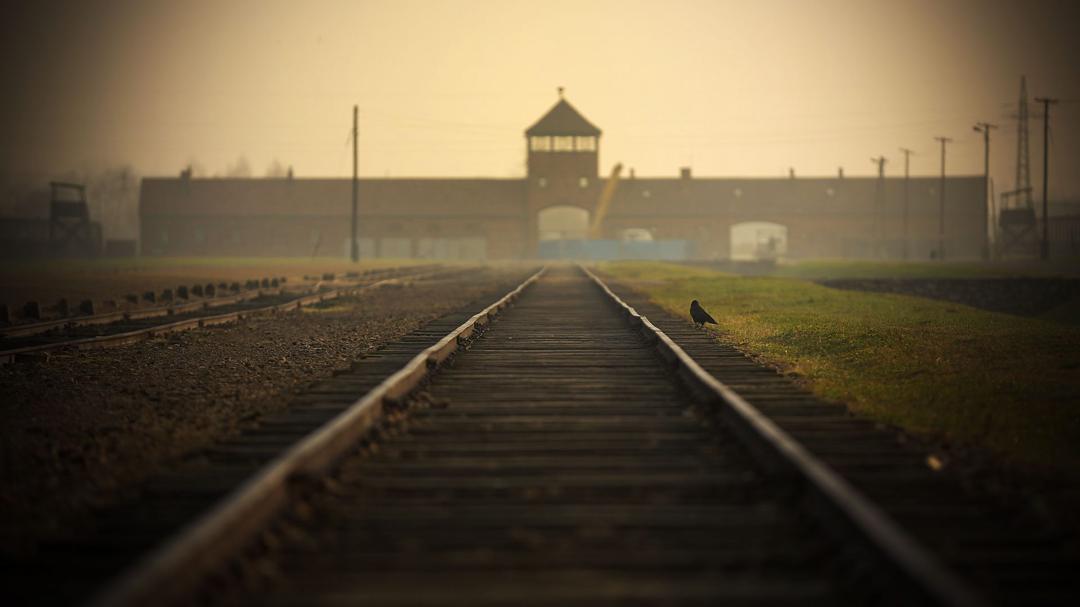 Background image for Shoah