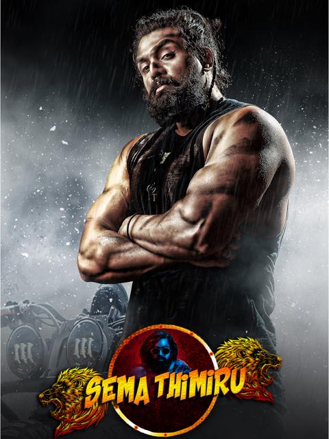 Movie poster for Pogaru
