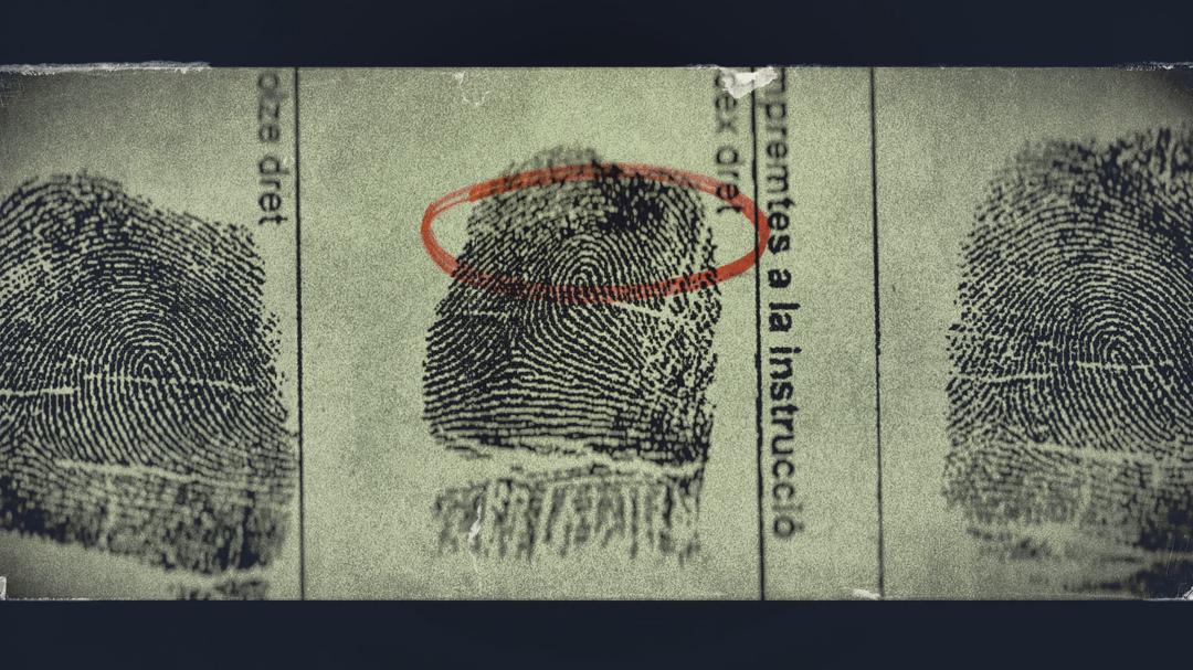 Background image for Angi: Fake Life, True Crime