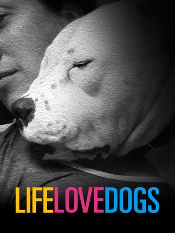 Life Love Dogs poszter