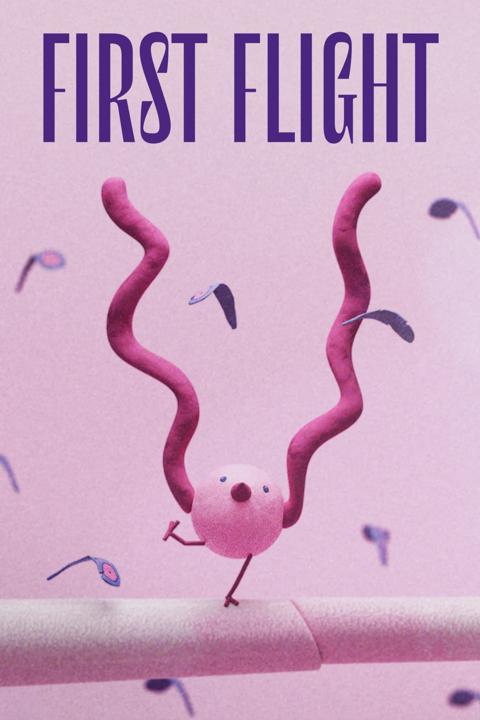Movie poster for First Flight