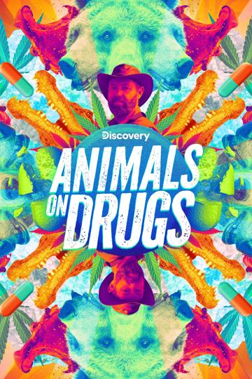 Animals on Drugs