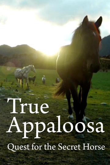 True Appaloosa poszter