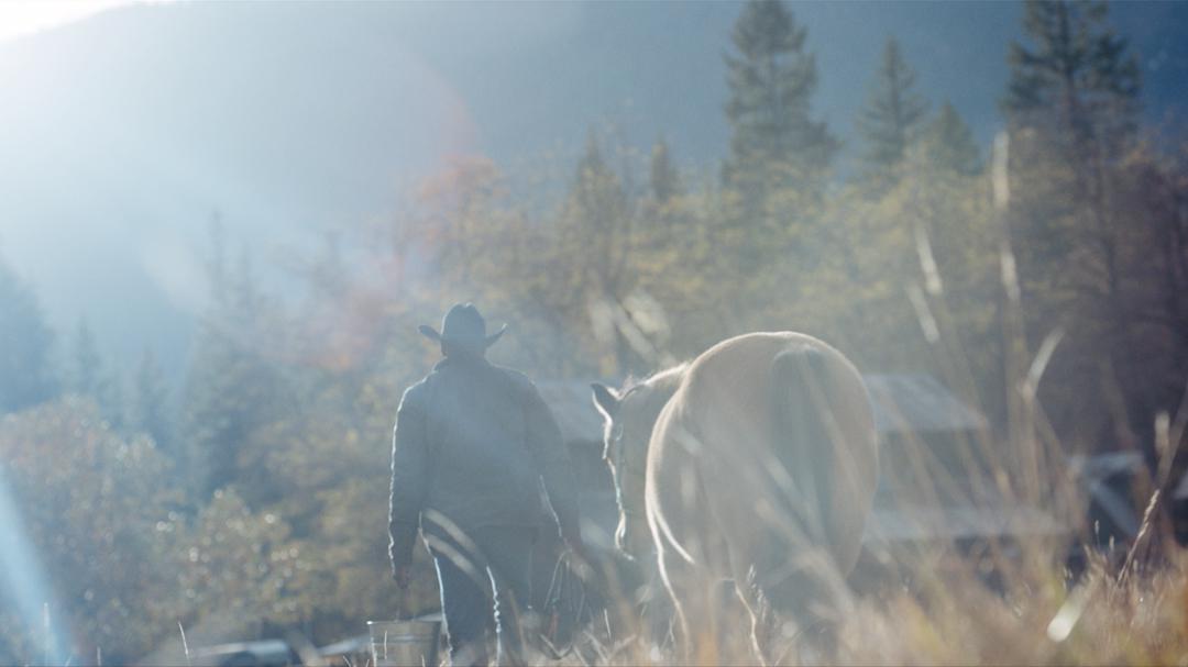 Background image for North Star