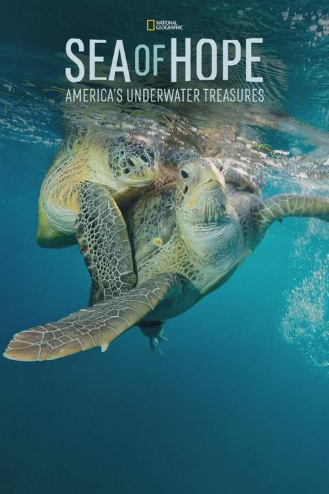 Poster för Sea of Hope: America's Underwater Treasures