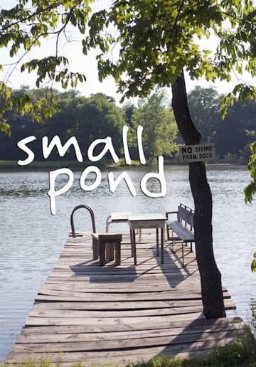 Small Pond poszter