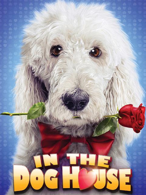 Movie poster for In the Dog House