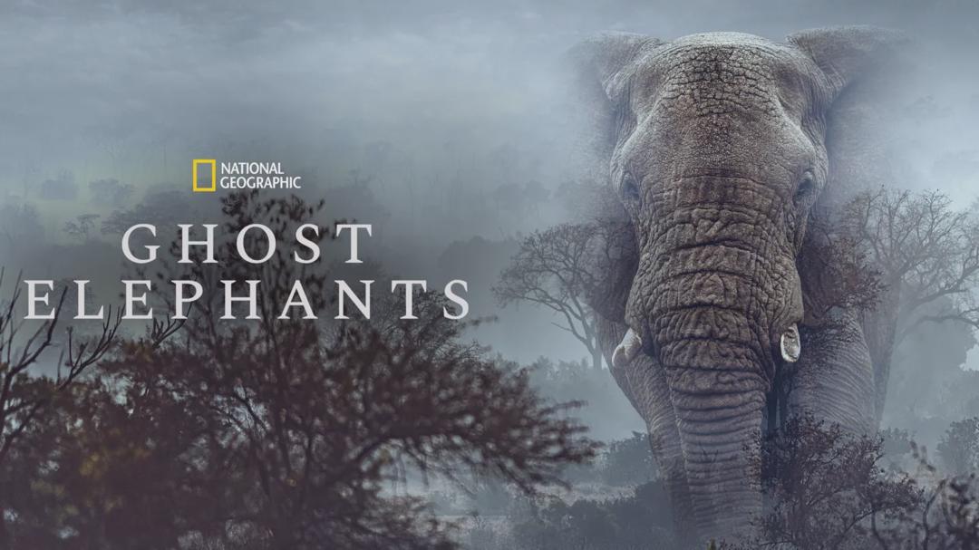 New on Disney+ US — May 4–May 10, 2026