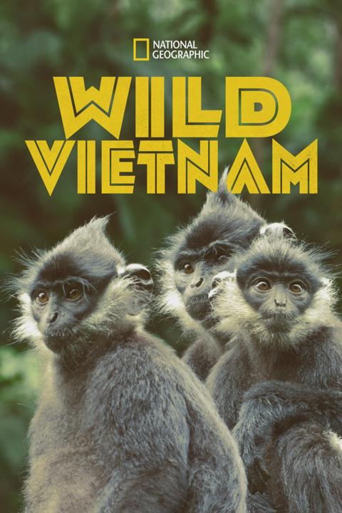Series poster for Wild Vietnam