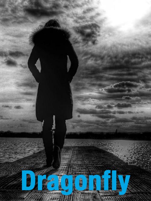 Poster för Dragonfly