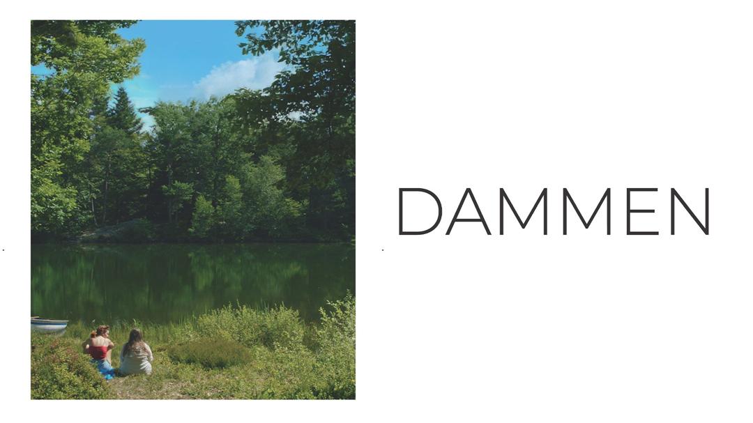 Dammen