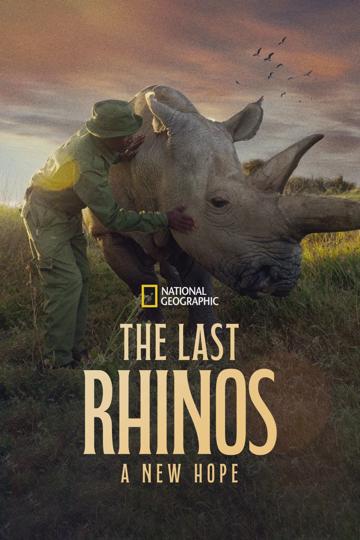 The Last Rhinos: A New Hope