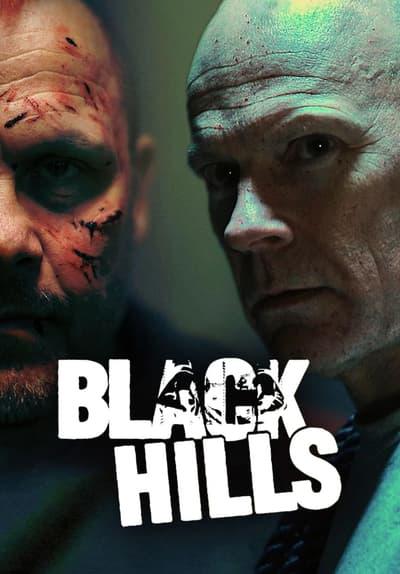 Movie poster for Black Hills
