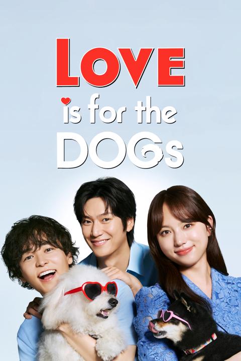 Poster för Love Is for the Dogs