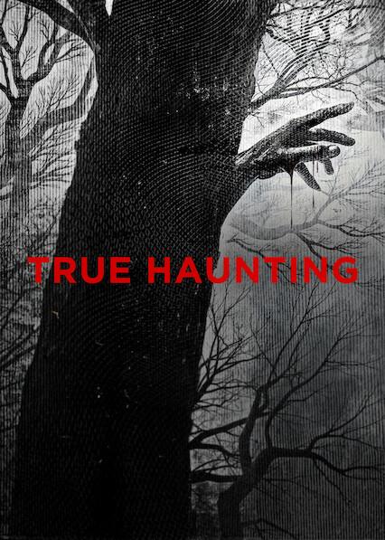 Poster för True Haunting