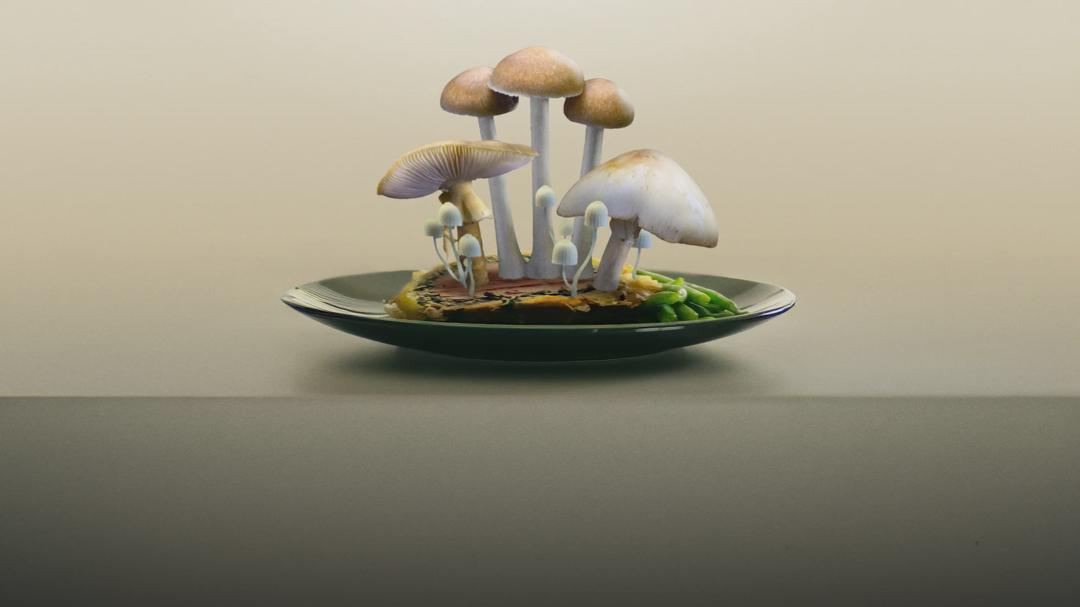 Background image for Revealed: Death Cap Murders