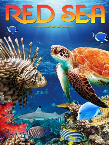 Red Sea poszter