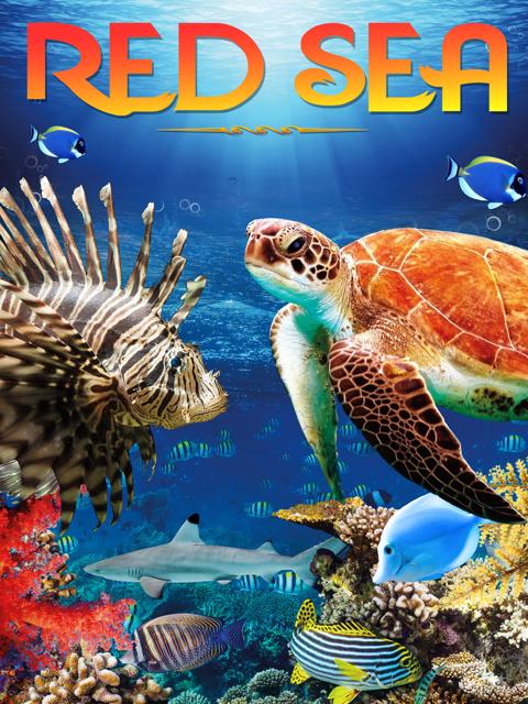 Movie poster for Red Sea