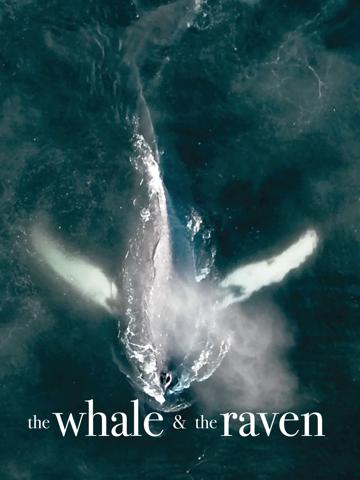 The Whale and the Raven poszter
